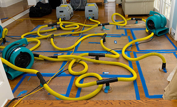 Professional Burst Pipe Water Damage technician working in Saint Cloud, WI